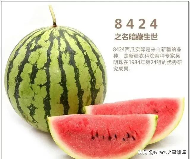 中国人能自由吃瓜，离不开这位“甜瓜女王”