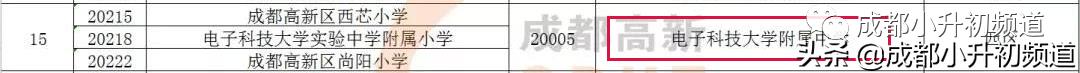 挤不进四七九,又不想高价读“五朵私花”?这些公办初中实力不凡