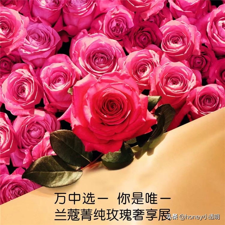 兰蔻奢宠焕颜护肤套装 (兰蔻玫瑰凝萃护肤套装)