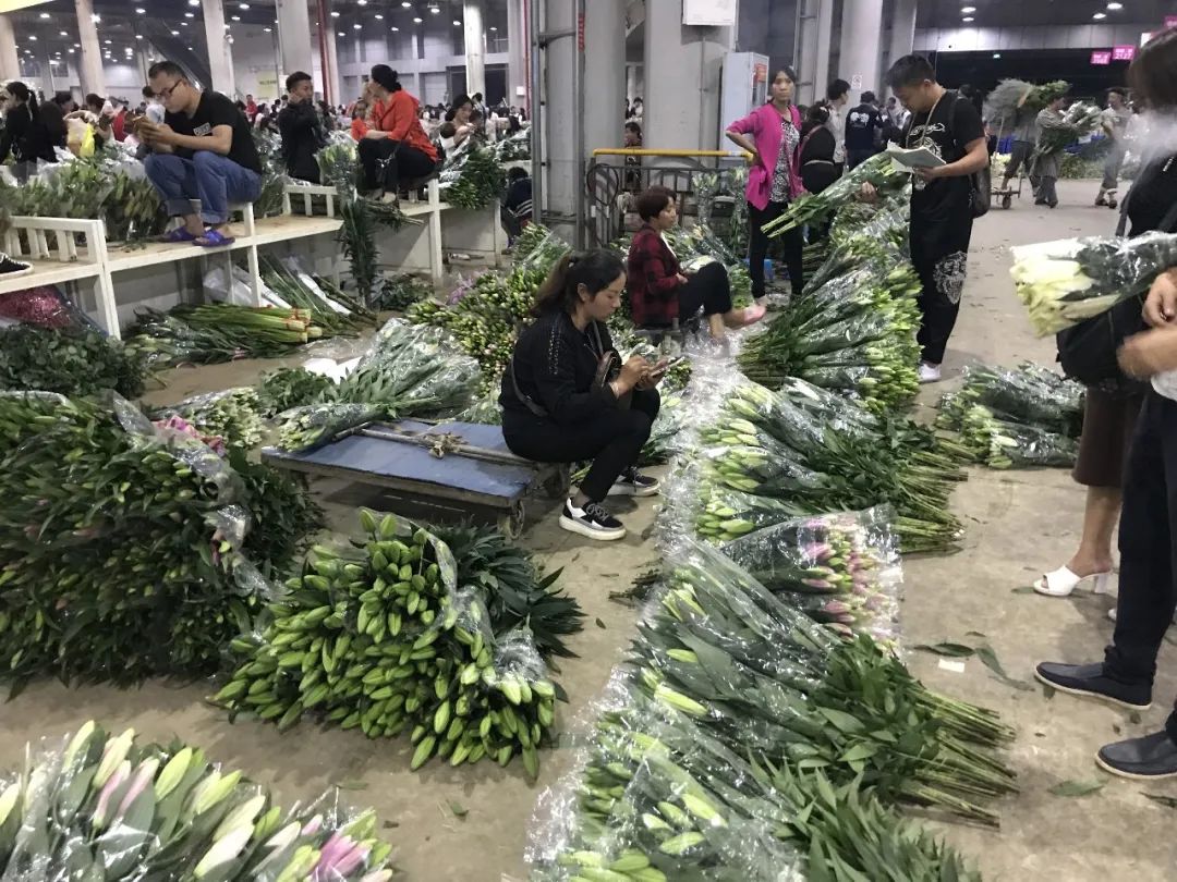 花店鲜花价格表大全,花店鲜花种类及价格表