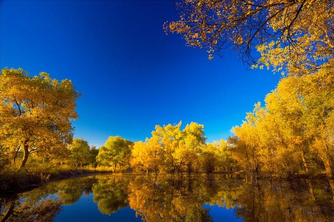 来内蒙古额济纳旗感受秋天,额济纳旗秋天最佳旅游时间