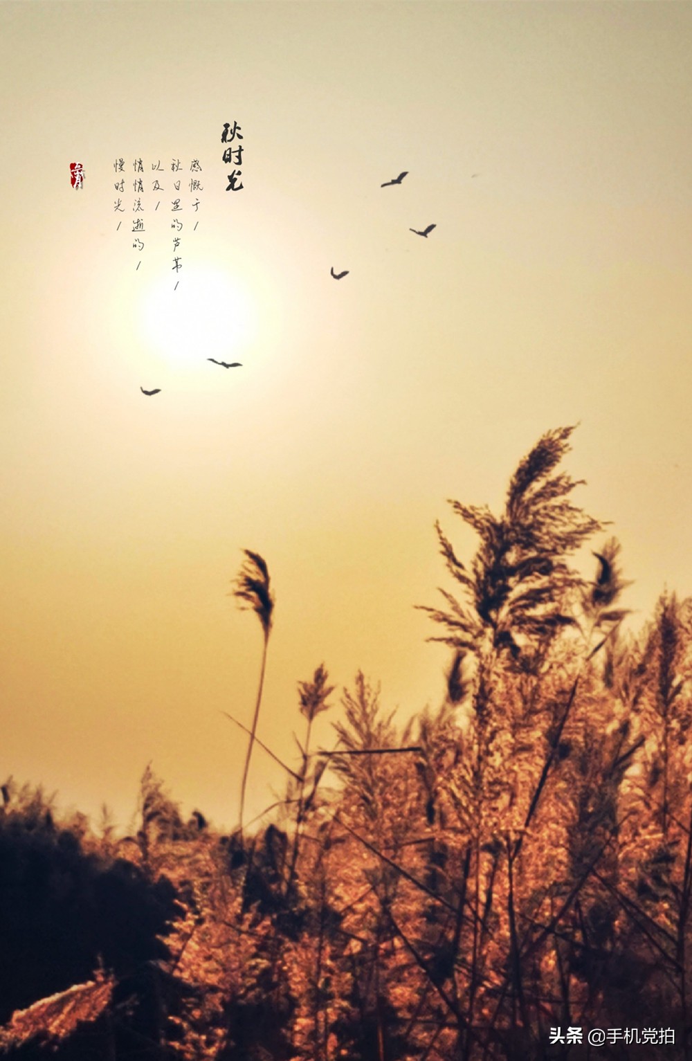 怎样给照片弄上水印,苹果手机怎么给照片添加时间水印