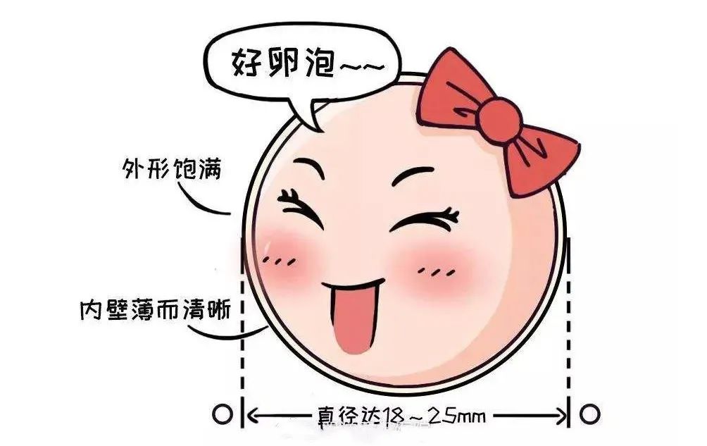 想要好孕到来就要懂得科学备孕,卵泡和内膜多少适合怀孕