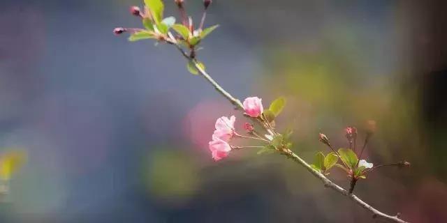 德清最高峰上的云端民宿，躺在离星空最近的床上