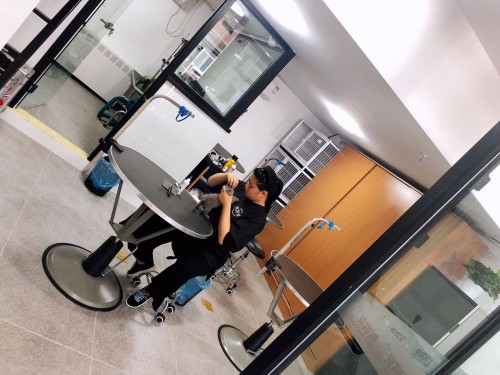 服务很好的宠物店,服务与口碑并存