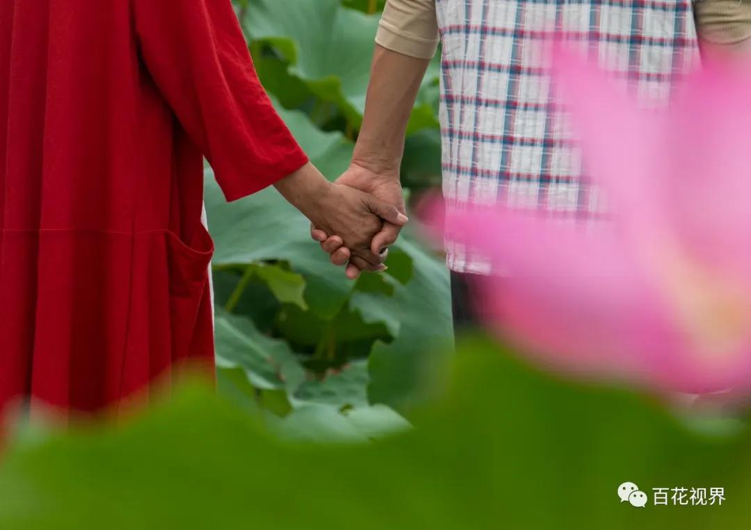 邯郸市女性摄影家,邯郸市女子摄影协会