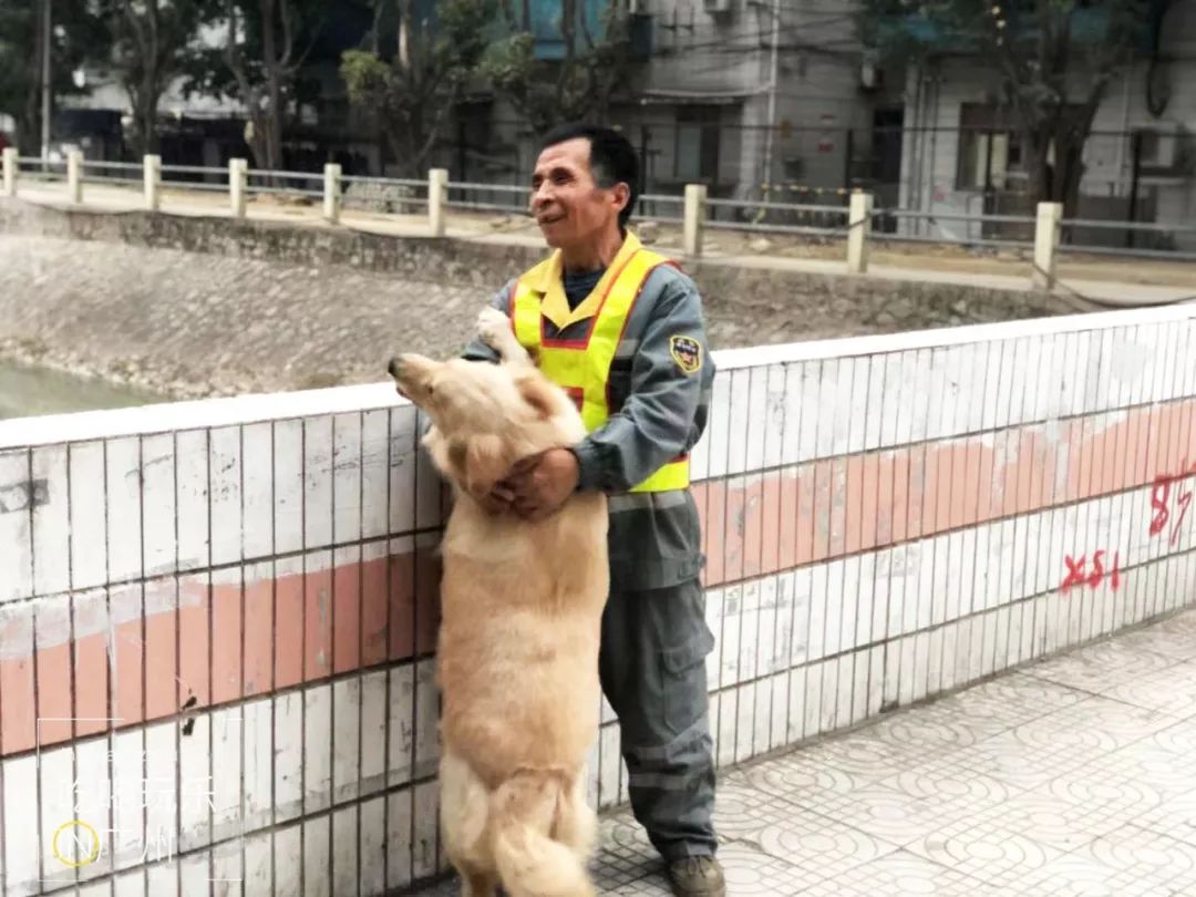 下一站广州完整版怎么配乐,下一站广州的文案