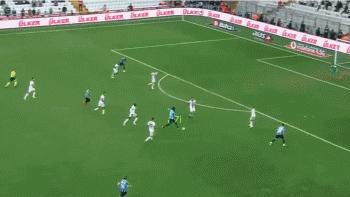 巴洛特利没脑子,我们怎么看懂巴洛特利