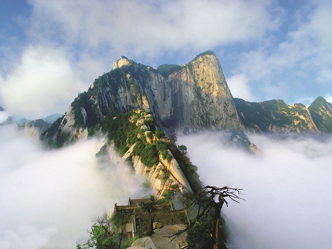 渭南临渭区人口2022,渭南主城区人口有70万吗