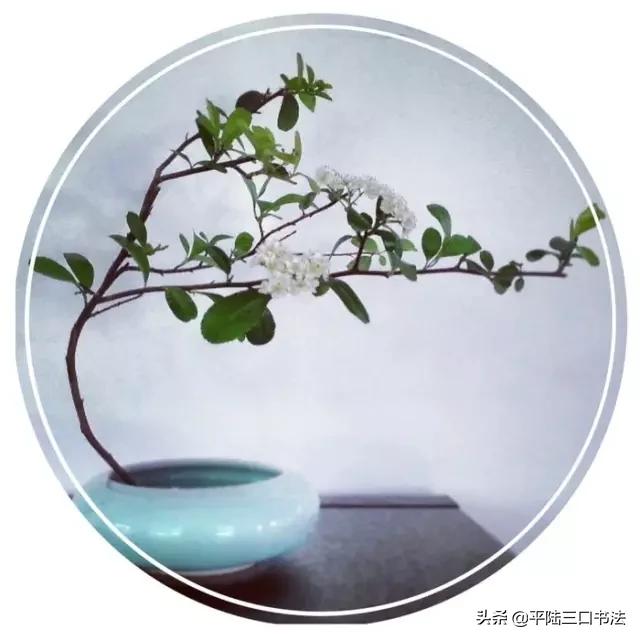 100个最有文化内涵的汉字,50个最美汉字50种文化含义