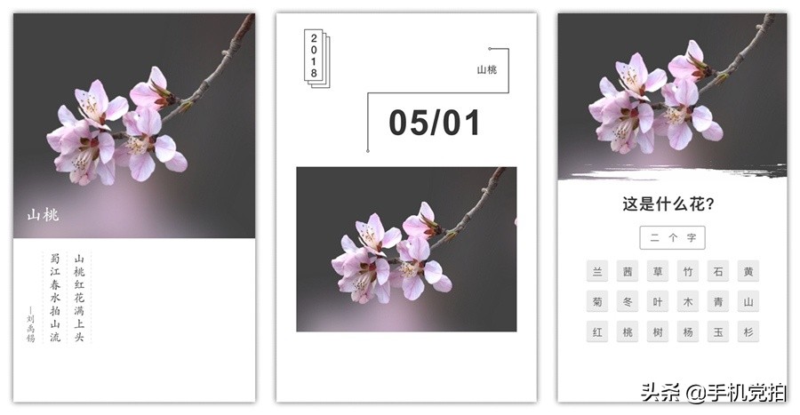 如何拍照识别花草植物,如何扫一扫快速识别花草