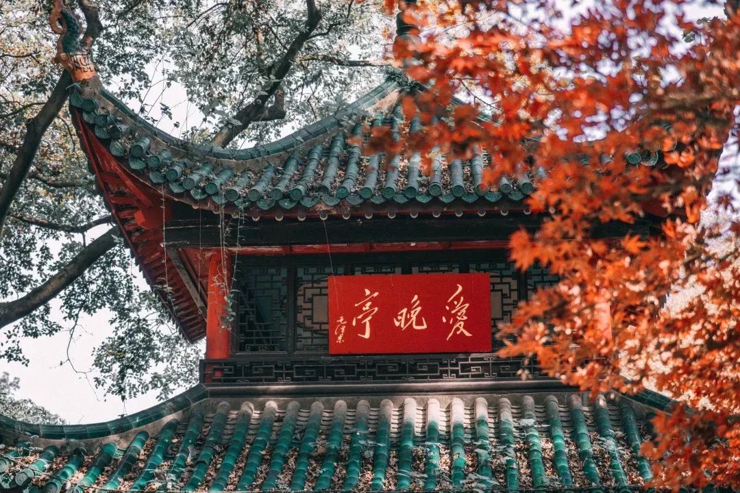 高考中南大学,高考结束来看看学生们的分数