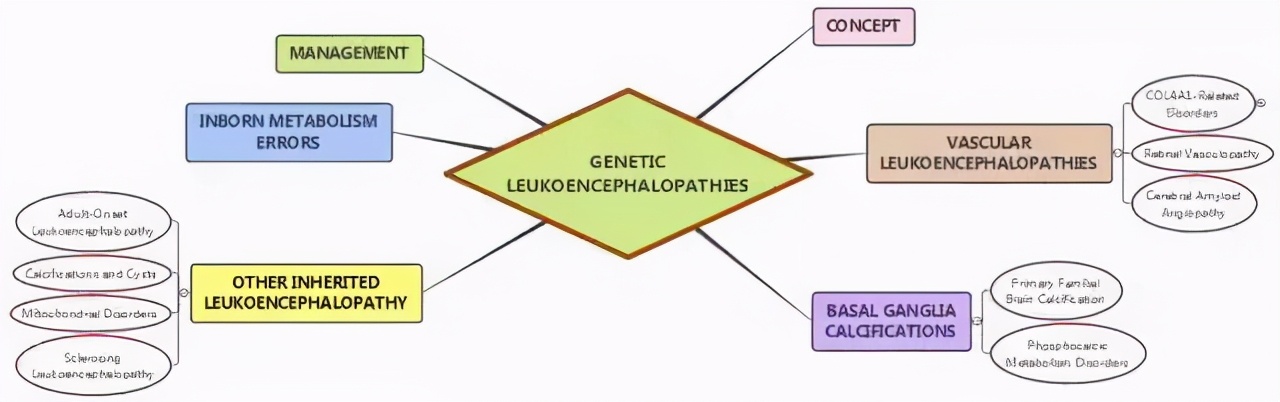 路线图怎么做好看,路线指引图怎么做好看