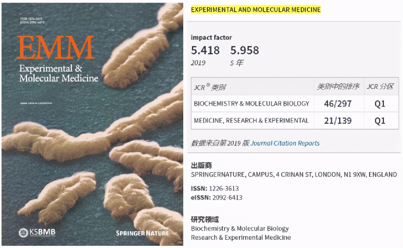 nature旗下杂志,nature杂志审核