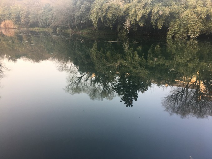 有诗意的送别语,送别词的经典词句