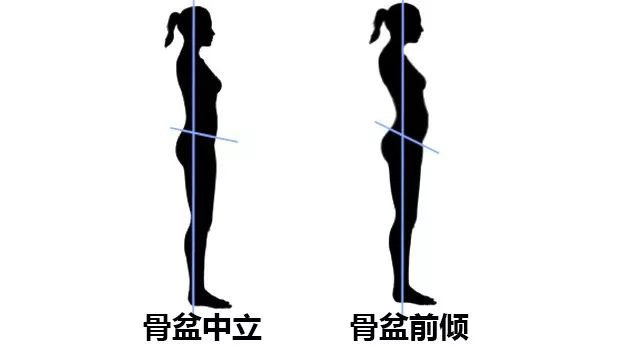 女性健身练形体有什么动作可以练,女性健身体态调整