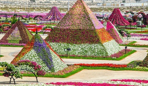 迪拜这座城市在世界排名第几,迪拜在世界城市中的排名