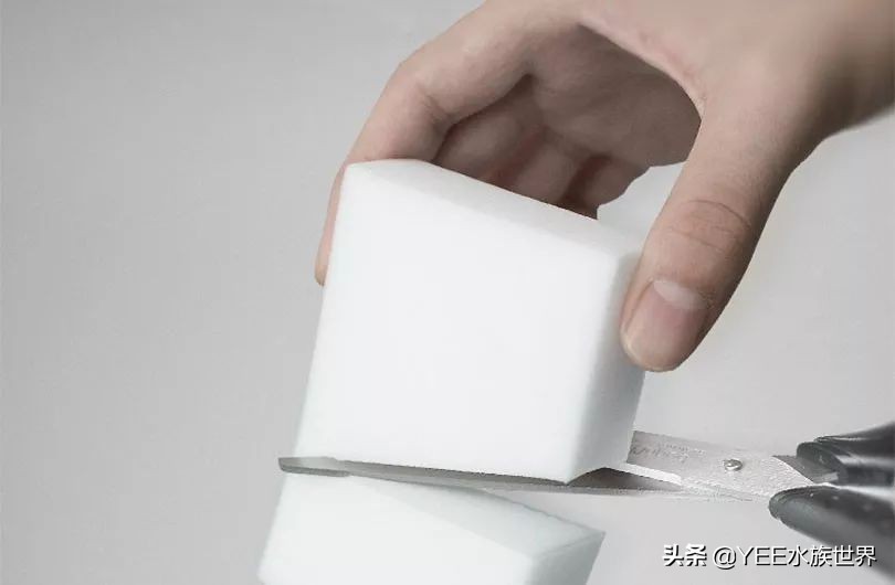 微观除藻最有效的方法,除藻工具