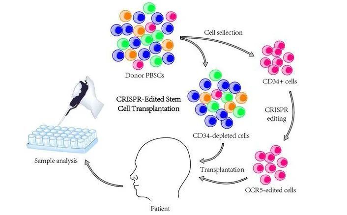 中国性学会新闻事件,中国性学会十大新闻