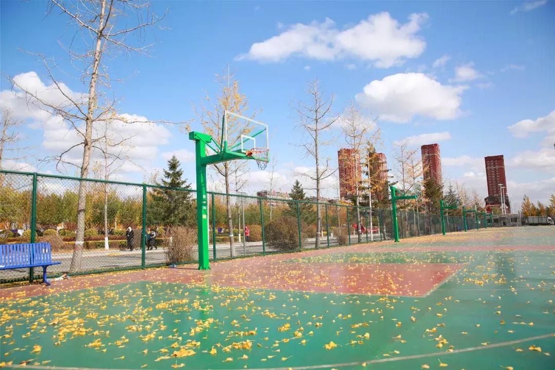 辽宁中医药大学杏林学院独立学院,辽宁中医药大学三个校区