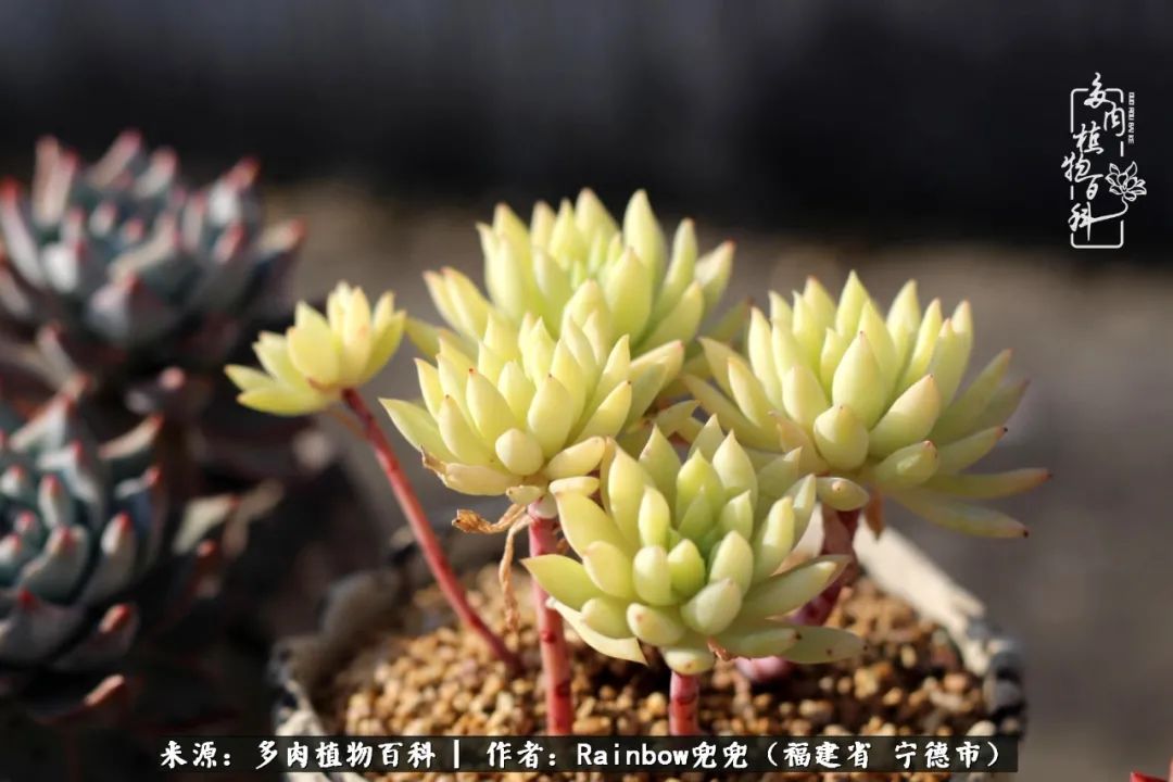 岁月无波澜余生不悲欢是啥意思,愿你岁月无波澜敬我余生无悲欢