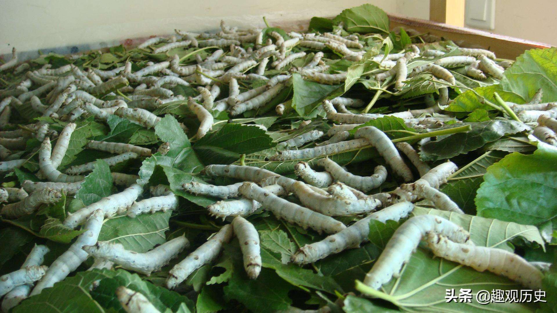 帕提亚帝国与波斯帝国的关系,帕提亚帝国和汉朝的关系