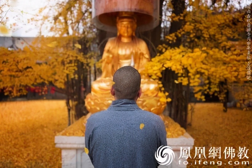 静波法师学佛答疑,静波法师说解脱