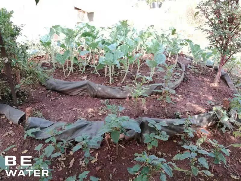 南苏丹维和情缘,铁军维和南苏丹