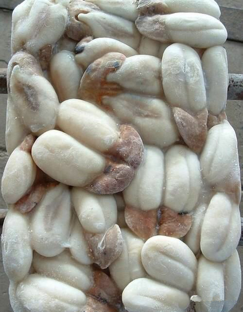 史上最全面的海鲜大咖,史上最全海鲜视频