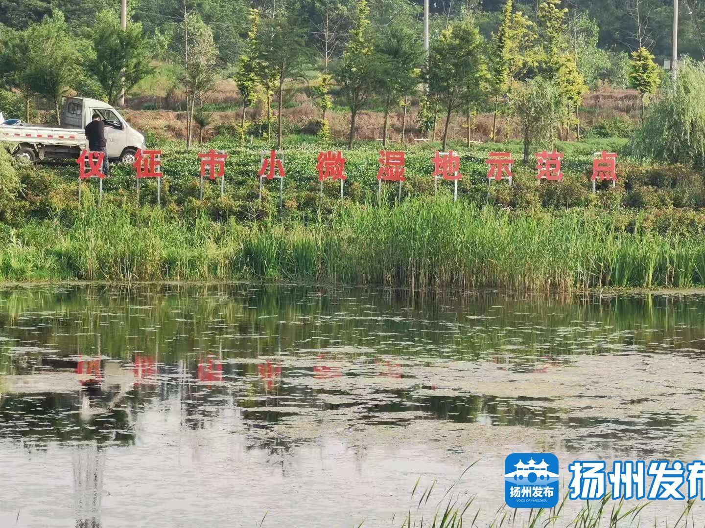 体验“森呼吸”,拥抱“林距离”!今年扬州计划造林1.22万亩