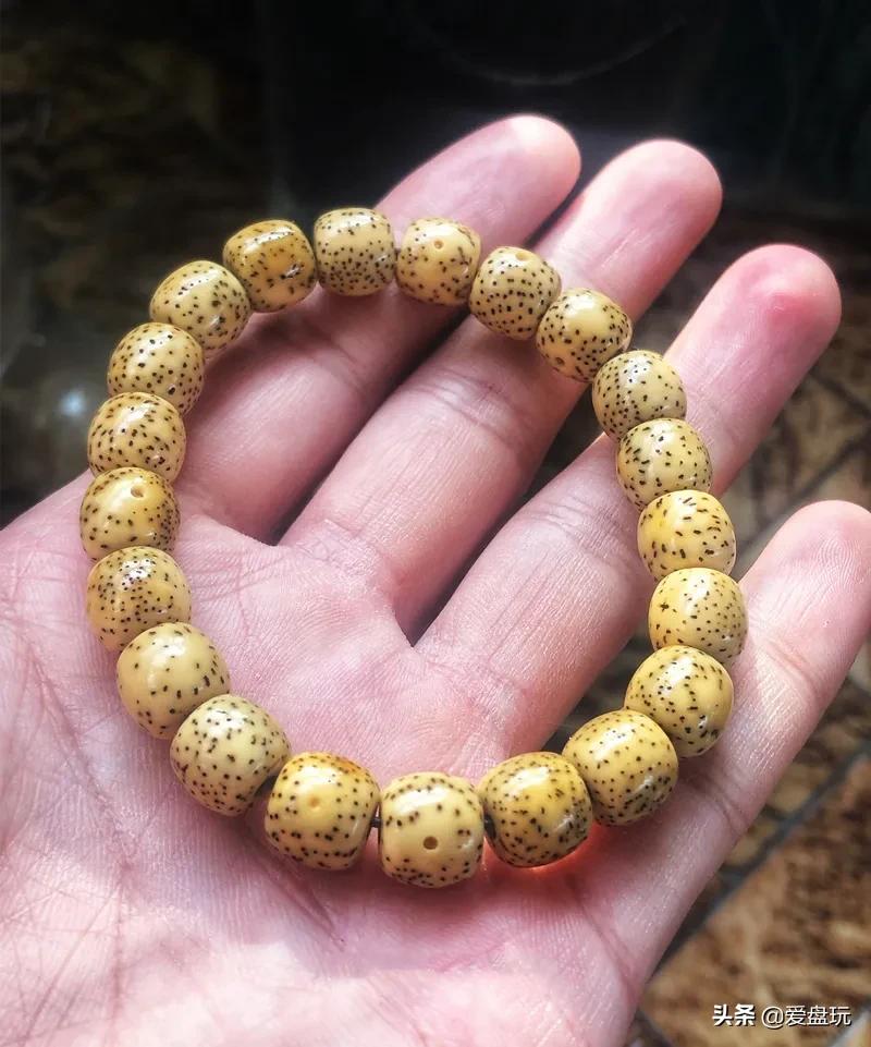 星月盘多久可开片,星月盘了几年都不开片