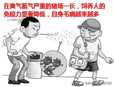 水泡粪猪场如何防控非洲猪瘟和解决养殖中臭味及粪污处理的难题？