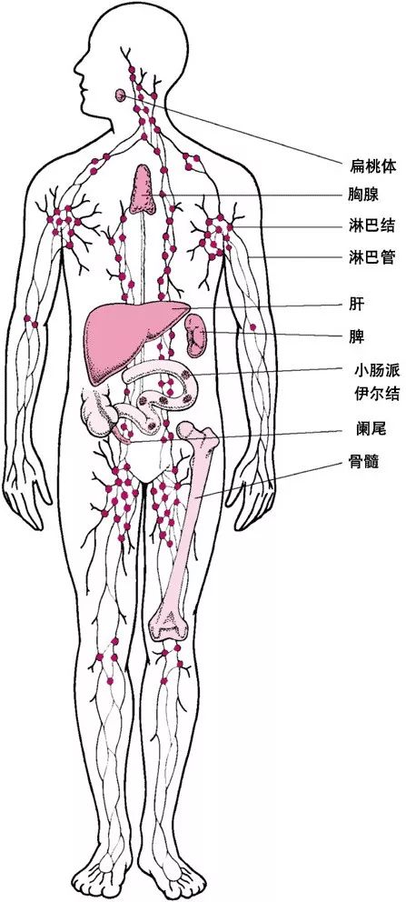 接触到了别人的体液，我会得艾滋病吗？