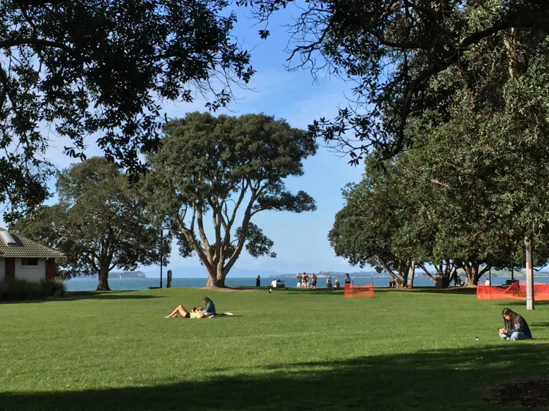 漫话新西兰,漫话新西兰漫画