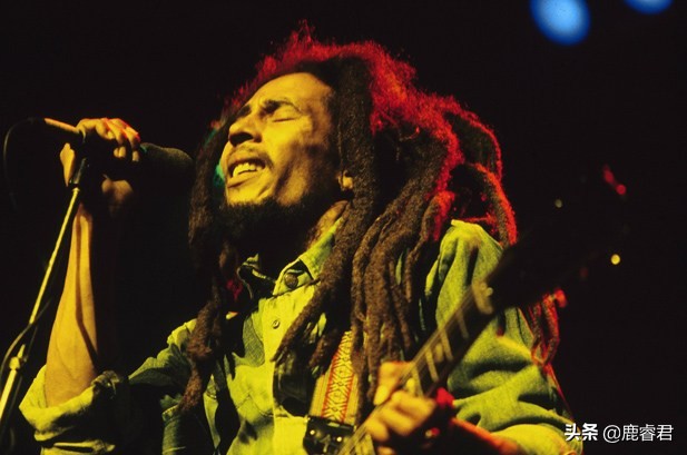 最正宗的蓝山咖啡,真正的蓝山咖啡日本