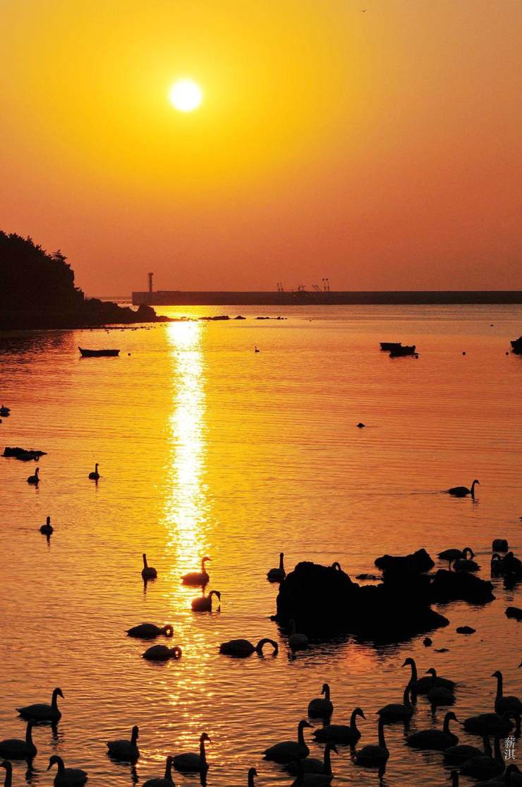 荣成海草房驿站,荣成生态民居海草房