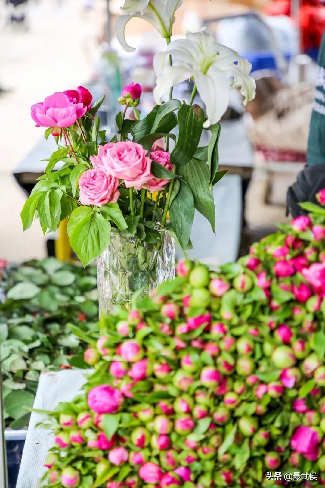 超便宜！成都铁轨下的花市5元买回一个春天！