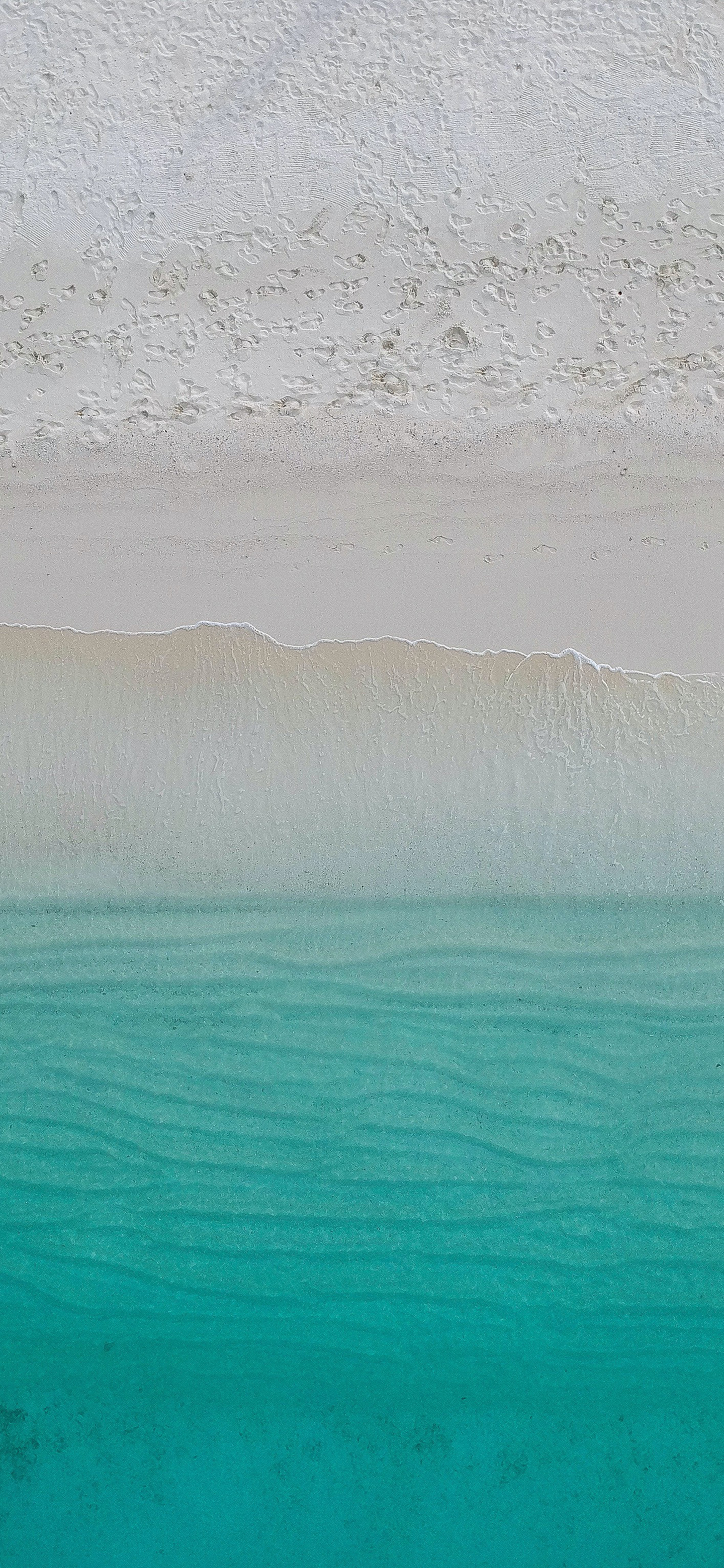 蓝天大海沙滩椰树图片高清壁纸,太阳蓝天大海海鸥的壁纸