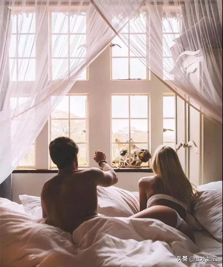 吃长颈鹿治艾滋病?为保护谣言下的生命他们建了家世界唯一的酒店