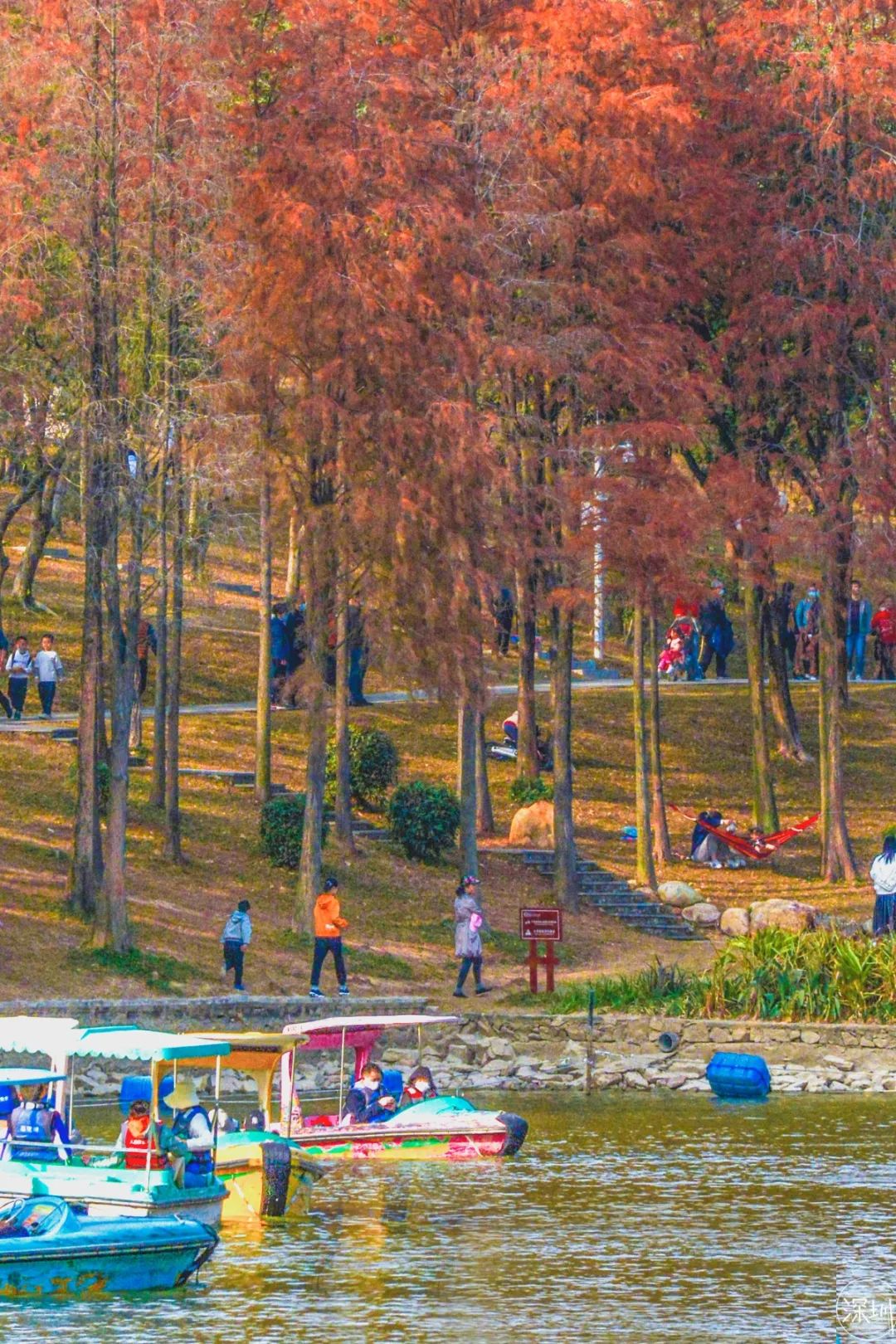 莲花山绿了没,莲花山红色景点有哪些