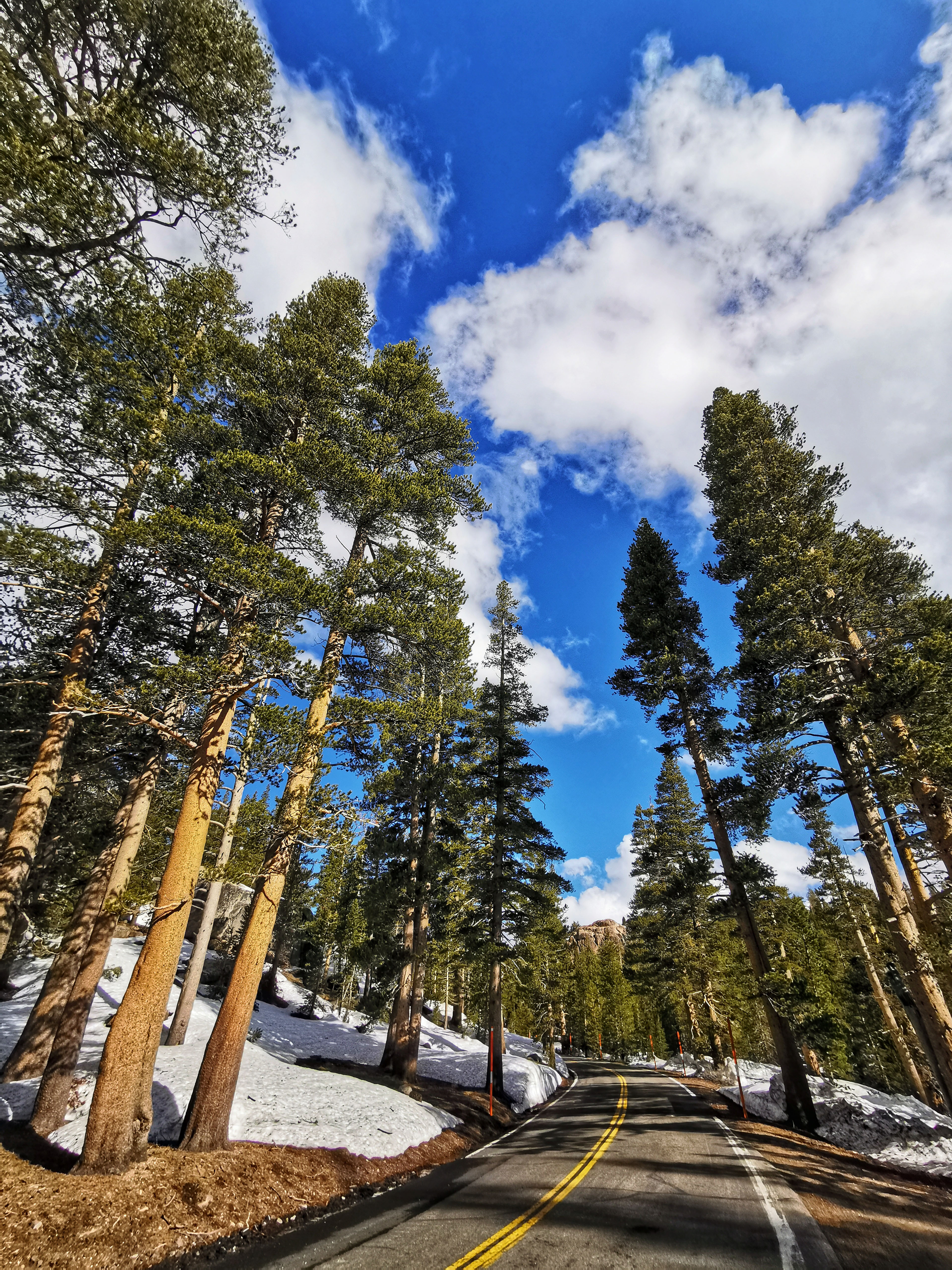 加利福尼亚优胜美地,美国旧金山优胜美地
