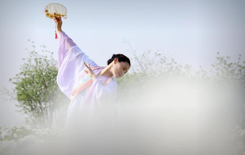 平陆张店白牡丹“梧桐”引“凤”富村民