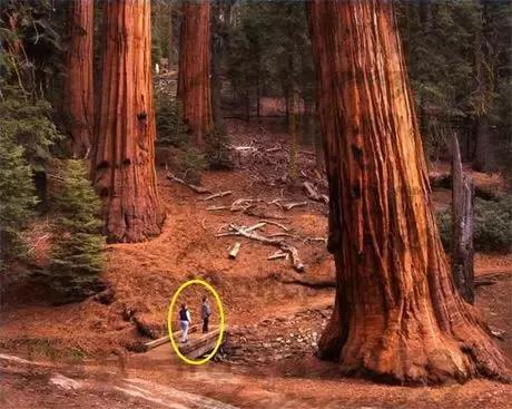 80张惊艳美图,80张风景图片大全