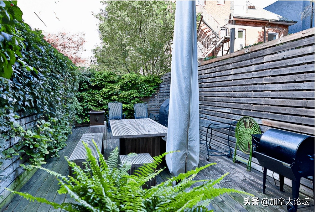 加拿大3000万加币,刷三观