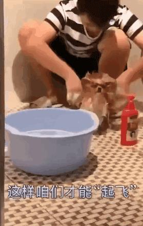 千万不要找哪一种男朋友,千万不要找一个有异性的男朋友