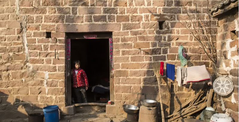 返乡创业养鹅的人,回家养鹅创业项目