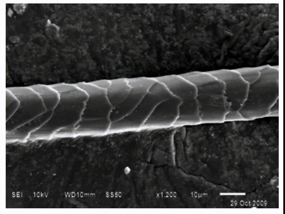 毛衫洗了缩水怎么恢复,缩水的毛衫怎么恢复正常