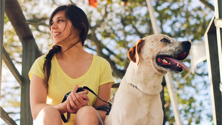 哪些玩具可以逗狗狗开心,安抚狗狗情绪的玩具