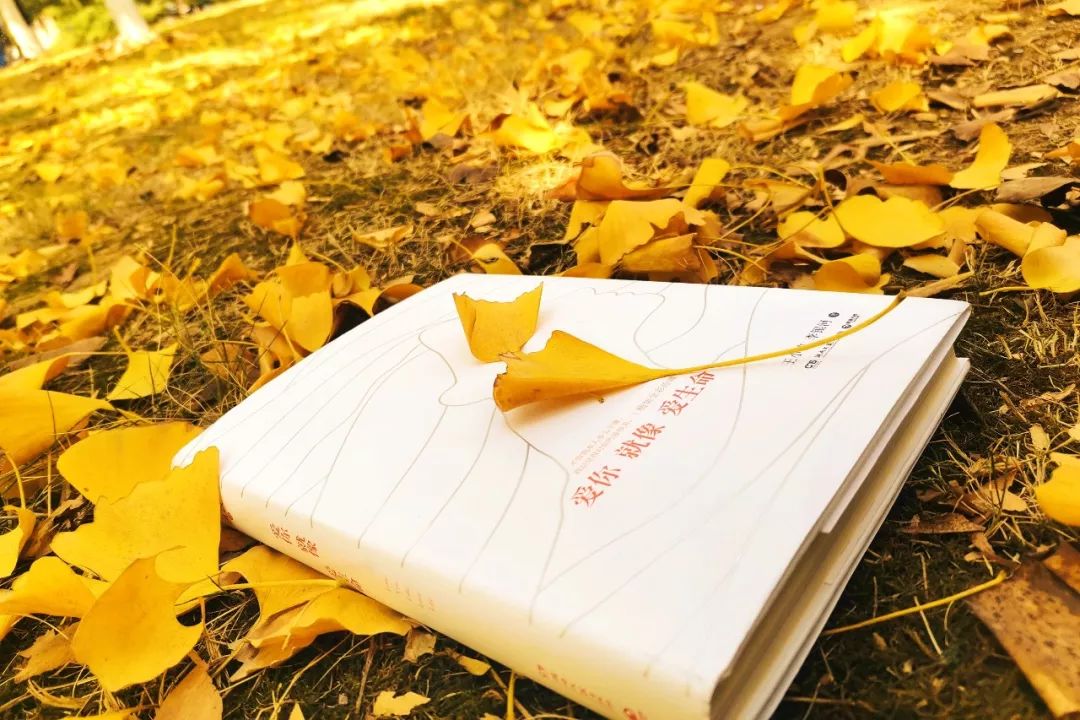 武汉职业技术学院校园风采,武汉职业技术学院风景