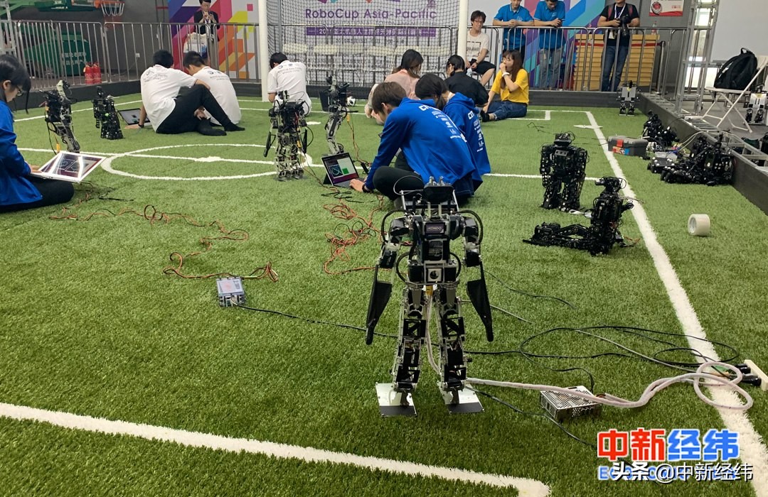 2024机器人世界杯,机器人世界杯中国